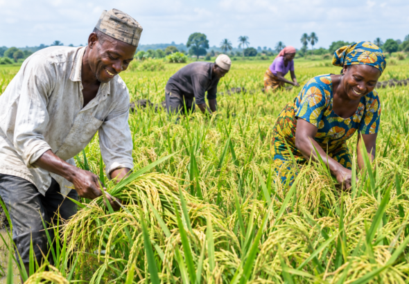 GIZ officials discuss agricultural finance and rural development in Nigeria