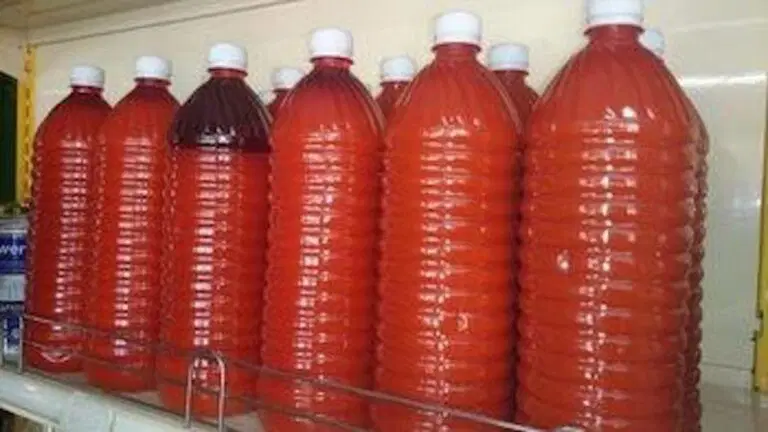 Palm oil displayed for sale at a Lagos market amid adulteration concerns