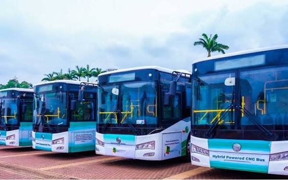 CNG Buses