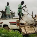 Farmers and pastoralists facing growing competition for land and water in West Africa.