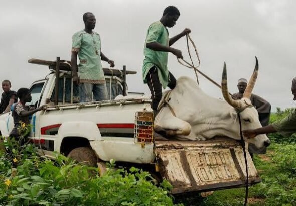 Farmers and pastoralists facing growing competition for land and water in West Africa.