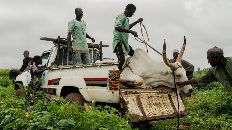 Farmers and pastoralists facing growing competition for land and water in West Africa.