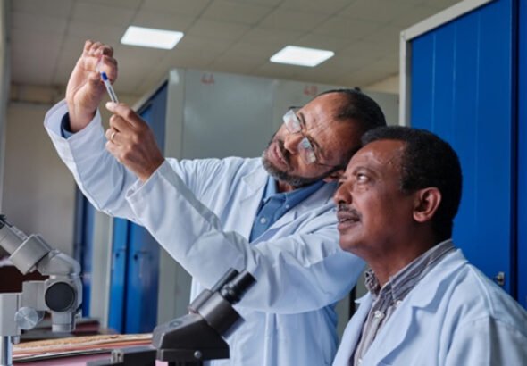 WHO highlights research priorities for traditional medicine
