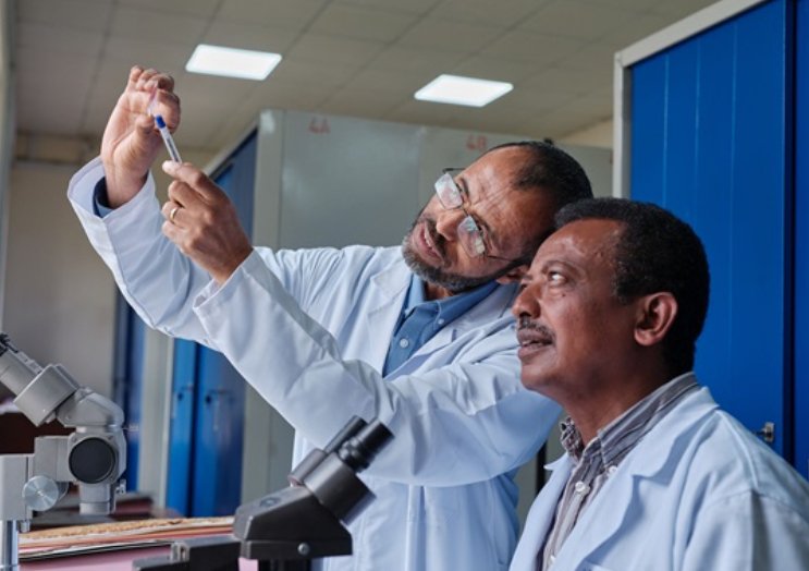 WHO highlights research priorities for traditional medicine