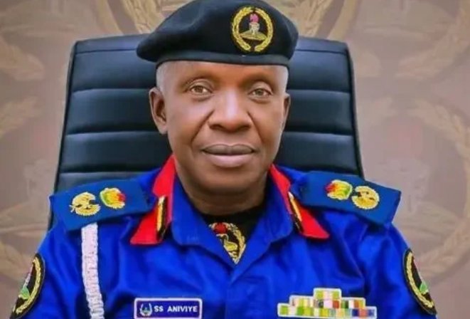 Interior Minister orders probe after custody deaths in Niger State