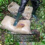 Nigerian Navy recovers suspected stolen crude oil in Rivers State
