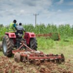 Young farmers participating in agribusiness in Ikole, Ekiti State