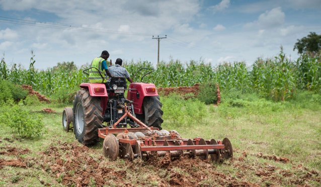 Young farmers participating in agribusiness in Ikole, Ekiti State