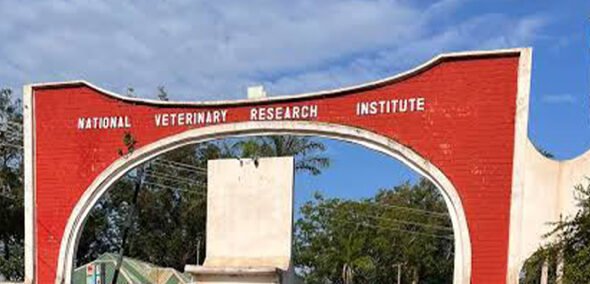 Nigeria commissions 40 million-dose veterinary vaccine cold storage facility in Lagos