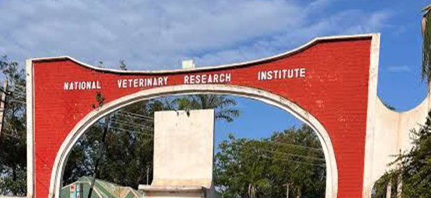 Nigeria commissions 40 million-dose veterinary vaccine cold storage facility in Lagos