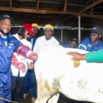 Kwara officials launch a cattle artificial insemination programme in Ilorin