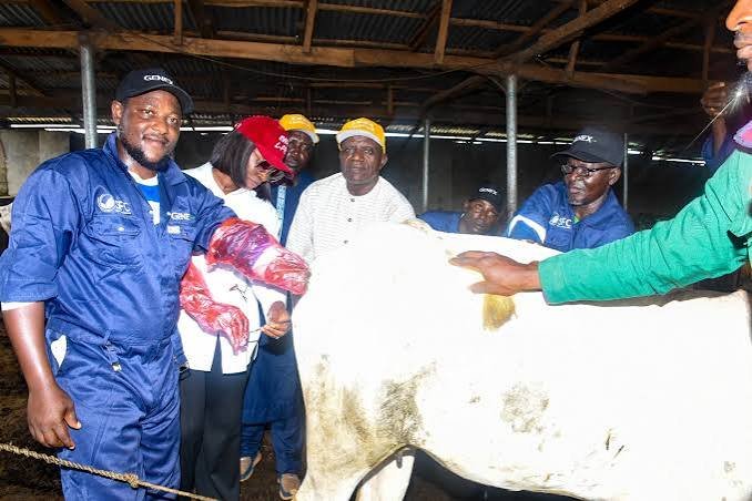 Kwara officials launch a cattle artificial insemination programme in Ilorin
