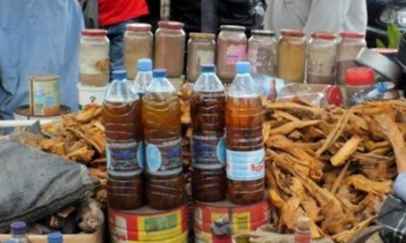 NAFDAC investigates suspected toxic alcoholic and herbal drinks in Ondo State