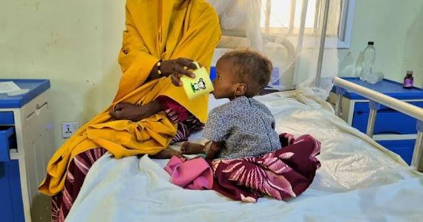 Mother and child receiving nutritional support at an ICRC-supported health facility in northeast Nigeria.