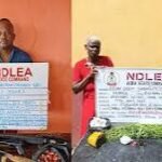 NDLEA Rearrests 83-Year-Old Woman in Drug Crackdown