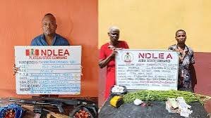 NDLEA Rearrests 83-Year-Old Woman in Drug Crackdown