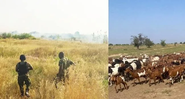 Troops Foil Zamfara Ambush, Rescue Two Herders in Sokoto