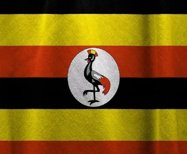 Uganda Seeks Nigeria's Travel Details in Ebola Investigation